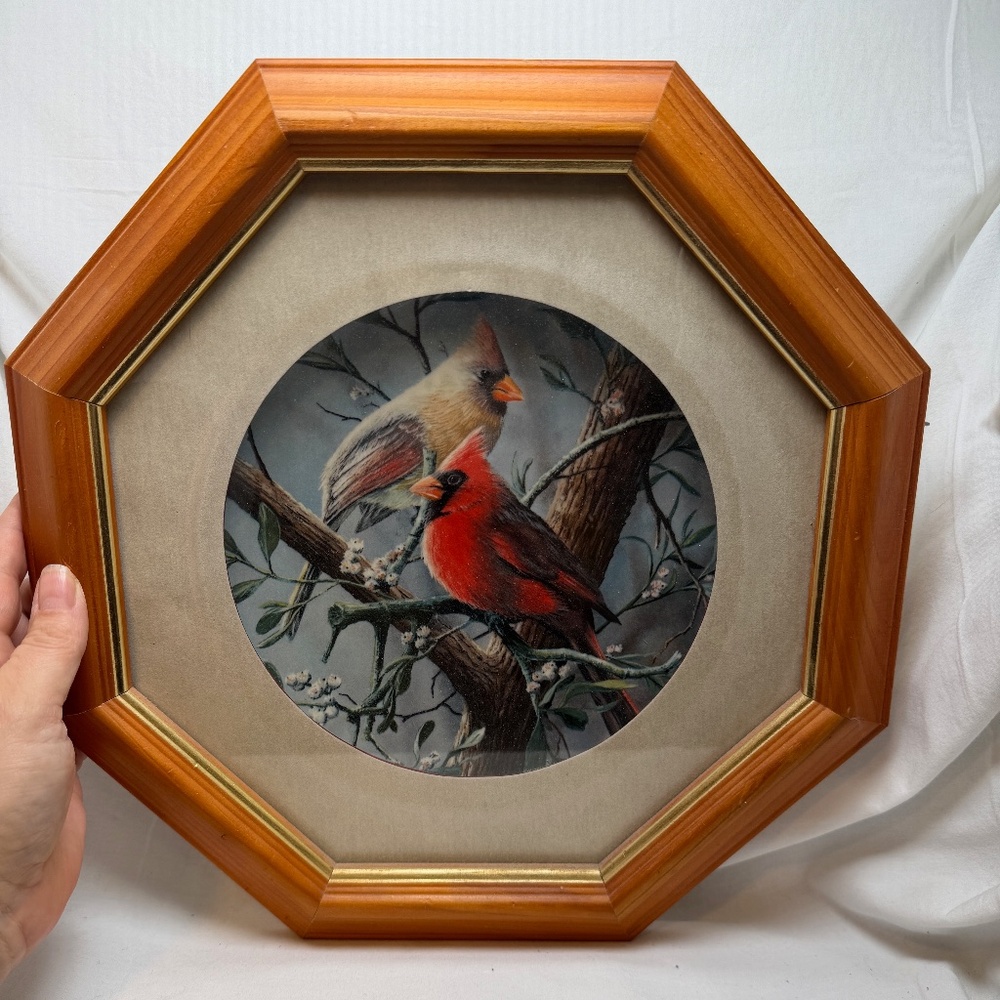 Encyclopedia Britannica Birds of Your Garden Collection Collecotrs Plate The Car